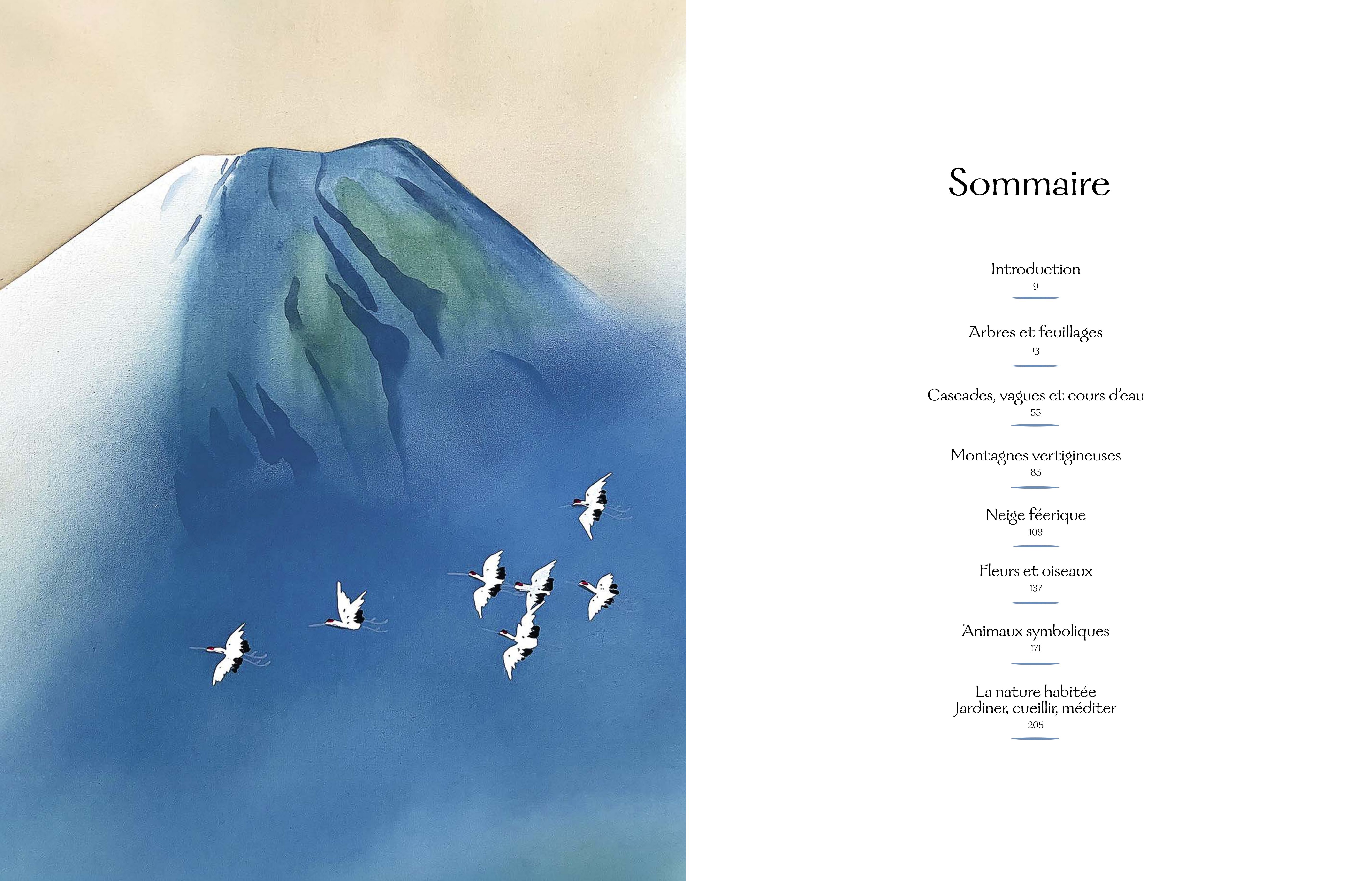 sommaire du livre